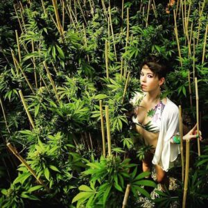 big mike milioner król instagrama Advanced Nutrients marihuana