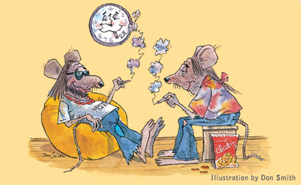 myszy zjadły pół tony marihuany