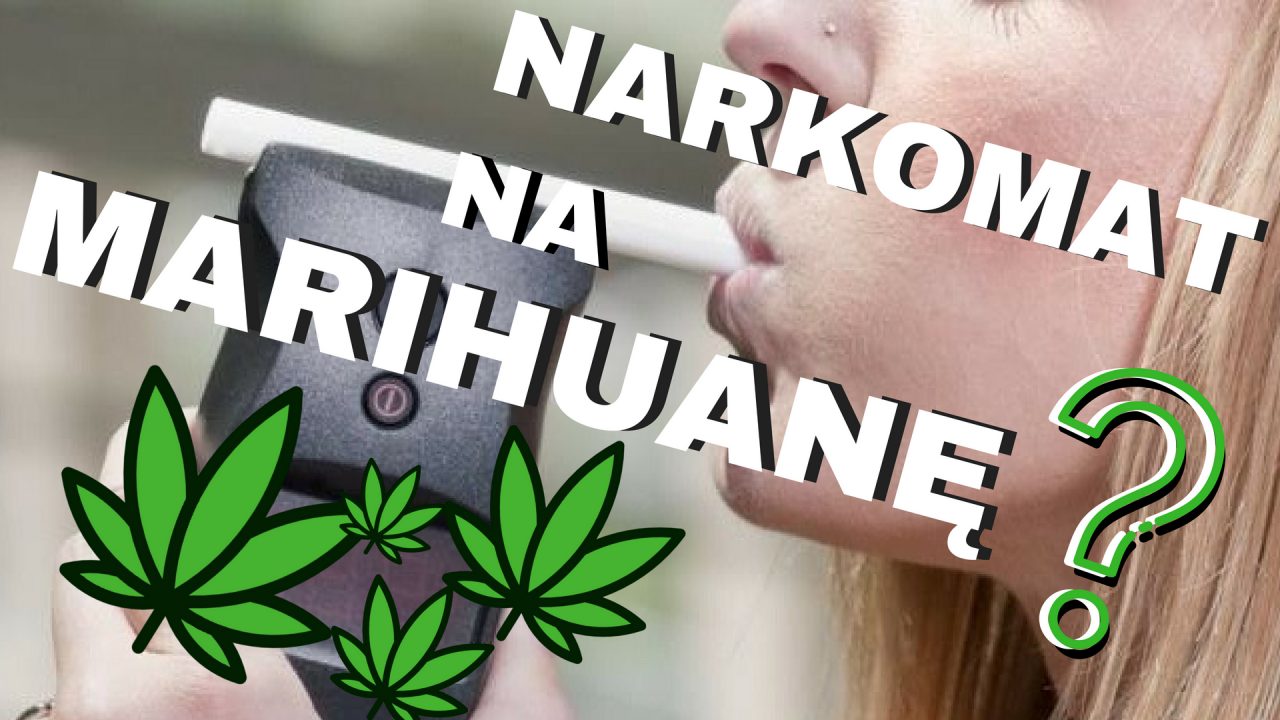 Amerykańscy naukowcy opracowali narkoamt do wykrywania kokainy. Czy będzie narkomat wykrywający marihuanę?