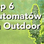 Top 6 Automatów na Outdoor