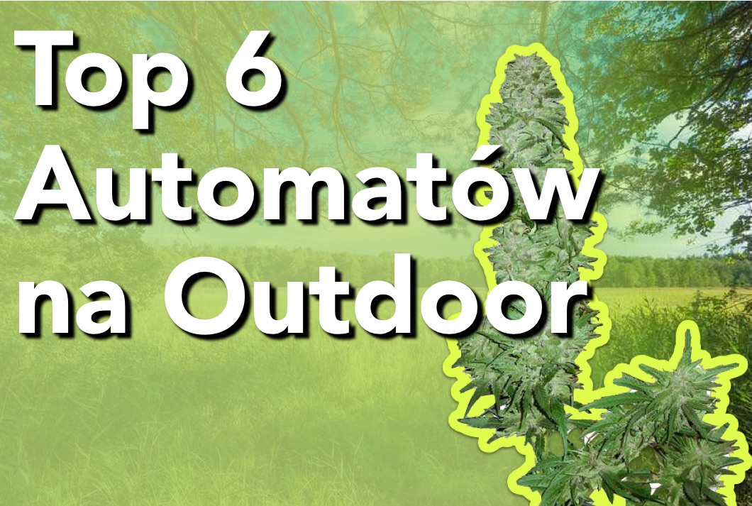 Top 6 Automatów na Outdoor
