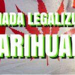 Kanada zalegalizowała marihuanę
