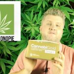 Nowy WeedWeek – rosyjska modelka w więzieniu, ksiądz zawieszony za ciasteczka a Ziobro wsadza do więzienia za 1,2 kg marihuany