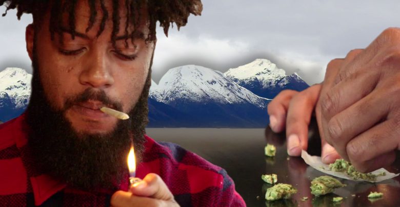 Vice w swojej serii Blunt Reviews, sprawdza jakie są możliwości poszczególnych regionów dla ujaranego turysty. Tym razem pojechali na Alaskę.