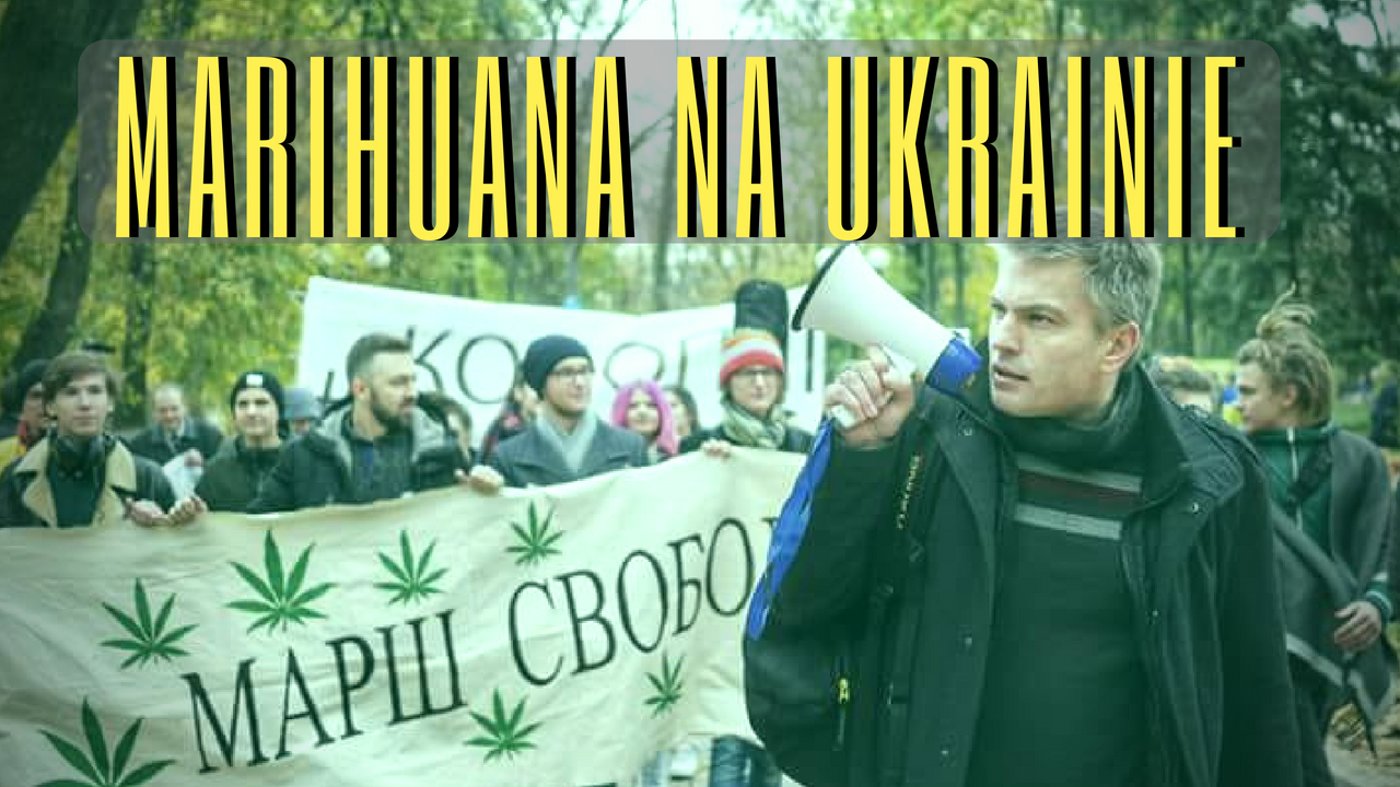 KARY ZA POSIADANIE, GRZYWNY I SKORUMPOWANA POLICJA - MARIHUANA NA UKRAINIE