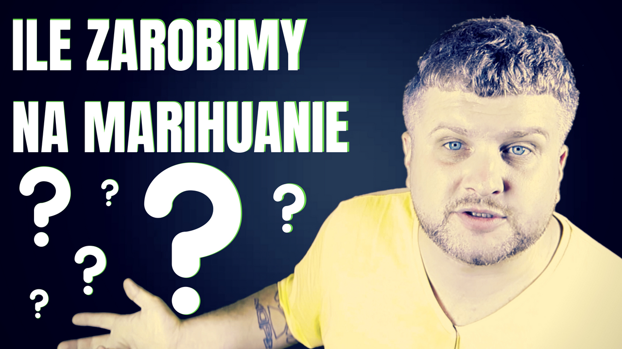 ile państwo zarobi na marihuanie, hempoland sprzedane za 100 mld a pewien kierowca zaliczyl wszystkie narkotesty
