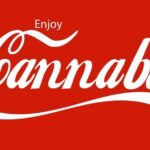 Coc-Cola chce produkowac napój konopny z zawartością CBD. Coca - Cola z marihuaną?