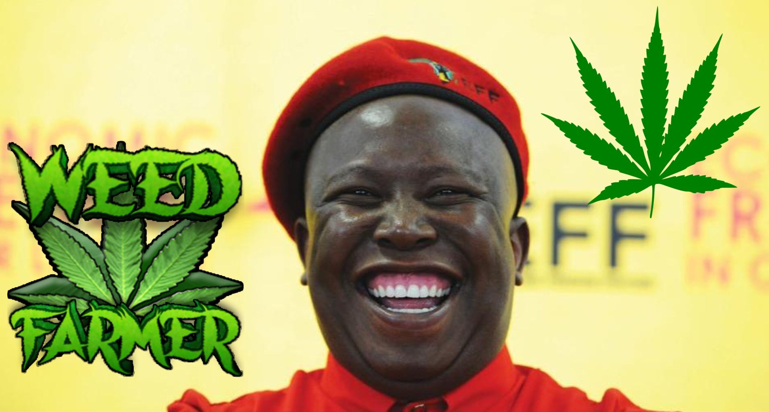 Południowa Afryka zalegalizowała marihuanę