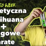 Syntetyczna marihuana, Bongo jak bejzbol i przemyt marihuany na lawetach - Nowy WeedWeek10