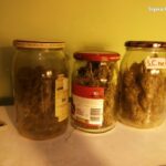 Oprócz uprawianych roślin, śledczy zabezpieczyli sprzęt do uprawy oraz niecałe 300 gram suszu trzymanego w słoikach.
