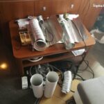 Zlikwidowano polantacje marihuany w Zabrzu