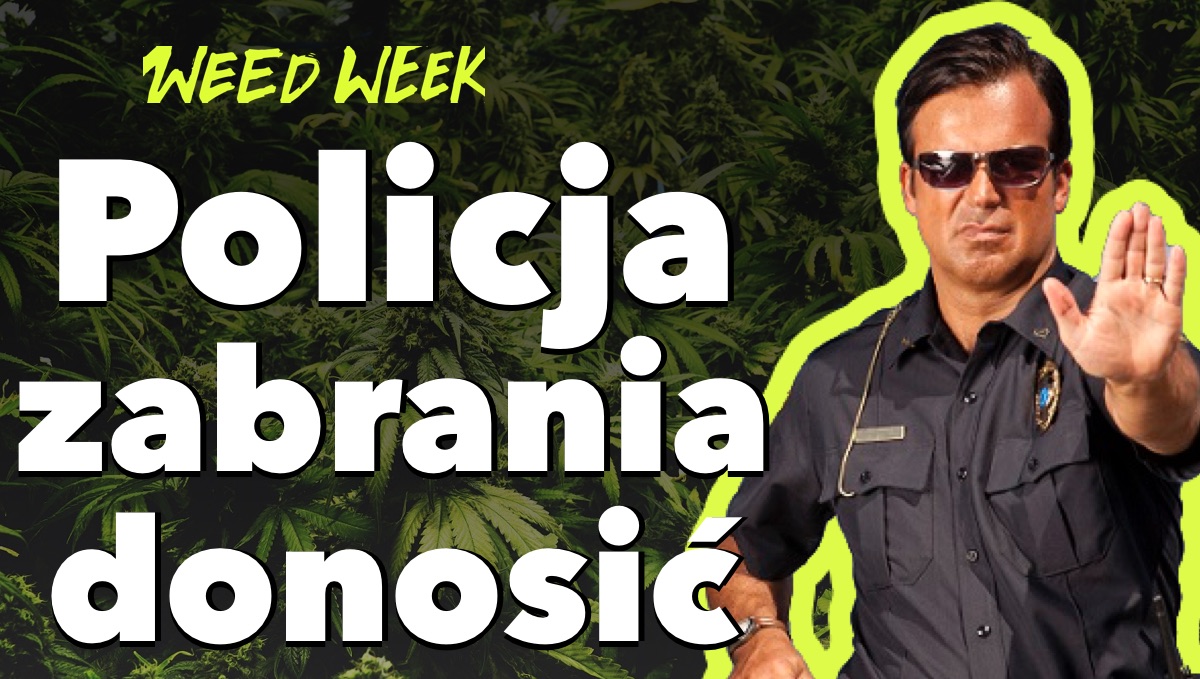 Policja w Kanadzie zabrania donosić | Gruziński kandydat na prezydenta rozdaje skręty - WeedWeek#15