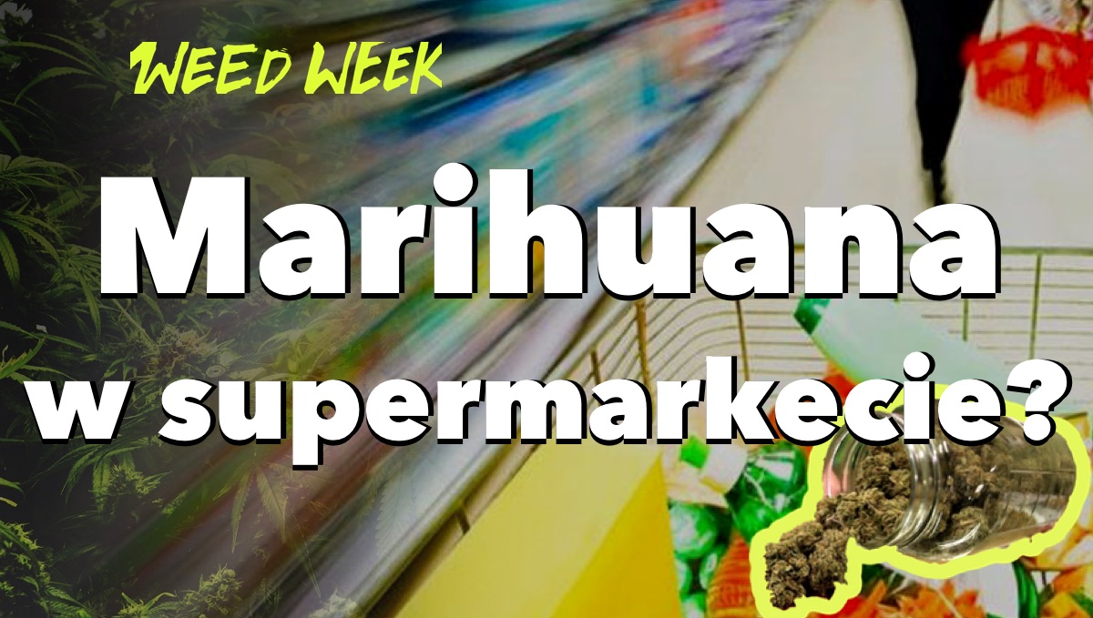 Marihuana w Walmart, Cypress Hill i ich nowa płyta oraz o medycznej marihuanie w Dzień Dobry TVN