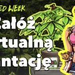 Nowy WeedWeek - odcinek 12. Gra o marihuanie, zioło w samolocie a w Polsce zamykaja za produkcję leku na raka.
