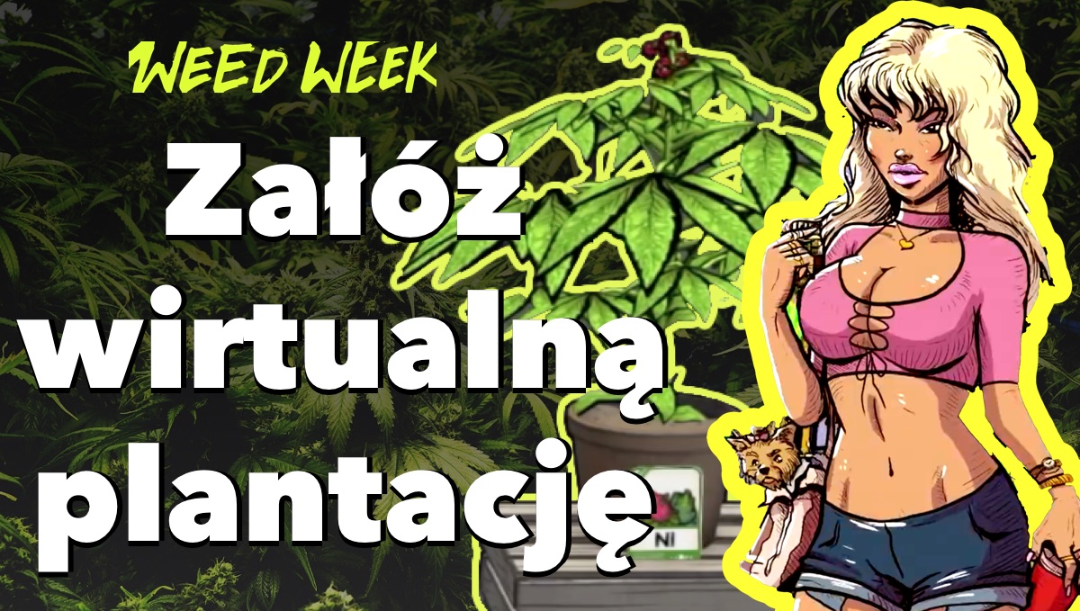 Nowy WeedWeek - odcinek 12. Gra o marihuanie, zioło w samolocie a w Polsce zamykaja za produkcję leku na raka.