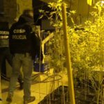 Prawie 6 ton marihuany przemycane w arbuzach. Kibole Cracovii mogli zarobić 100mln