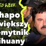 Proces El Chapo | Narcos | Marihuana vs.Alkohol | WeedWeek#20