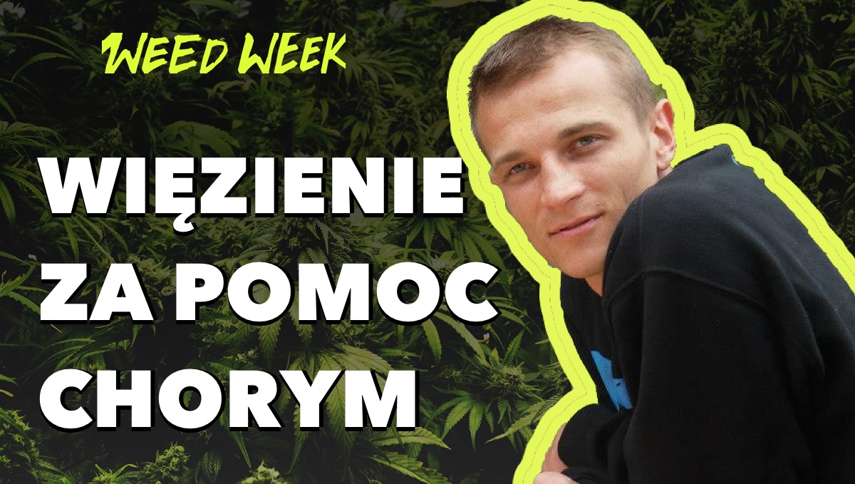 Kuba Gajewski - Lider wolnych konopi