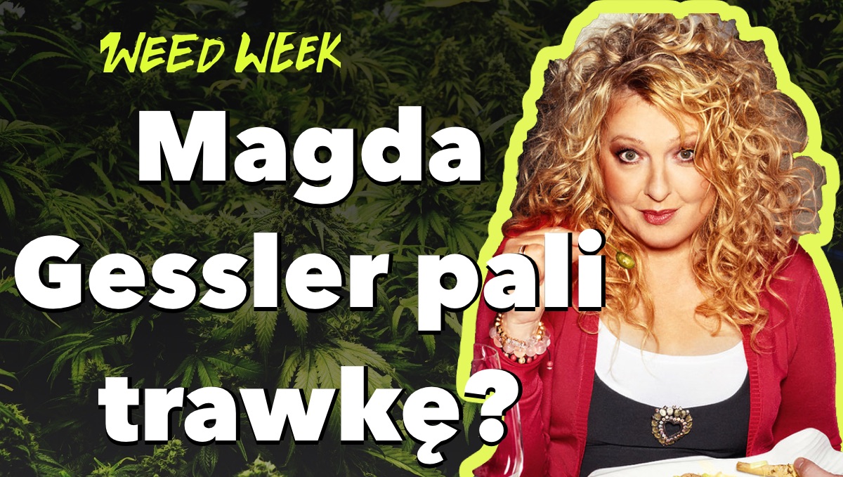 Magda Gessler pali marihuanę? | Snoop Dogg jara przed białym domem | Mandat za zioło | WeedWeek#18
