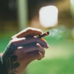 jak wyglądają płuca