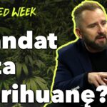 Mandat za Marihuanę zamiast więzienia