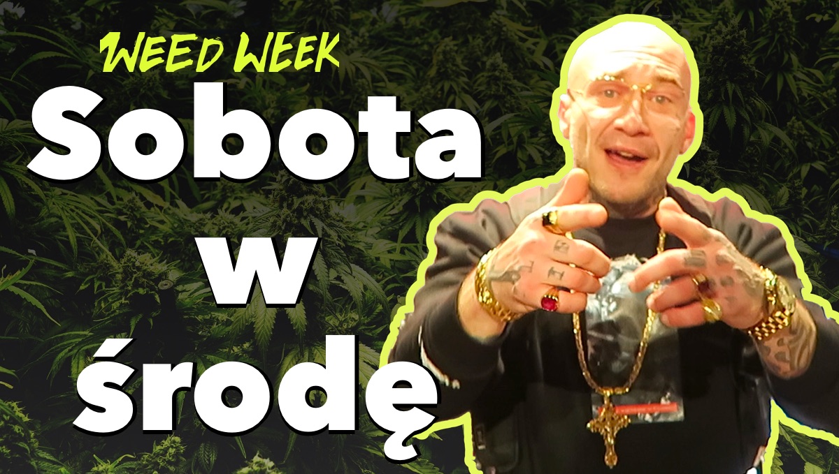 Polskie targi marihuany Cannabizz 2018 I Podziemie Nadzieji - film o medycznej marihuanie I WeedWeek#19