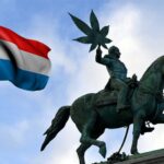 Luksemburg jako pierwszy kraj Unii Europejskiej legalizuje marihuanę rekreacyjną