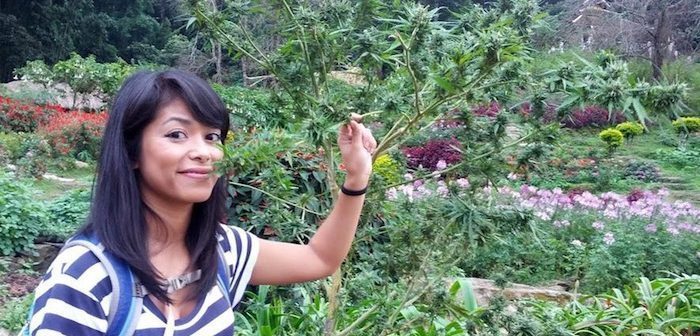 Tajlandia jako pierwszy kraj Azji południowej, legalizuje marihuanę medyczną