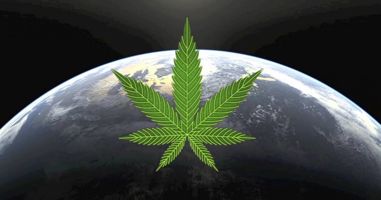 W których miastach spożywa się najwięcej marihuany na świecie?