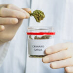 Apteki w Zurychu chcą legalizacji marihuany