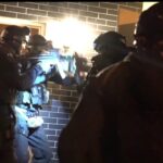 Policja zlikwidowała uprawę marihuany w Kostrzynie nad Odrą. Zabezpieczono 30 kg suszu i 312 krzaków.