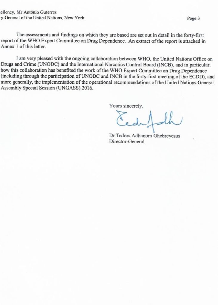 Światowa Organizacja Zdrowia wystosowała rekomendację aby usunąć Cannabis z listy substancji psychoaktywnych i kontrolowanych