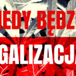 Kiedy będzie legalizacja w Polsce? CannabisNews