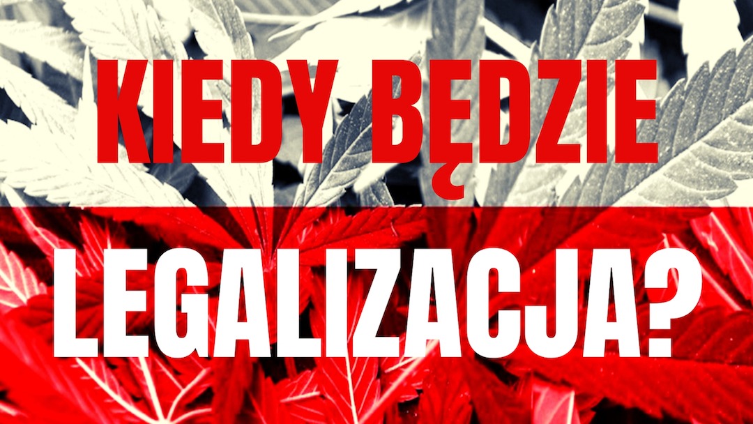 Kiedy będzie legalizacja w Polsce? CannabisNews