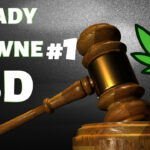 Czy susz CBD jest legalny? Porady prawne CannabisNews