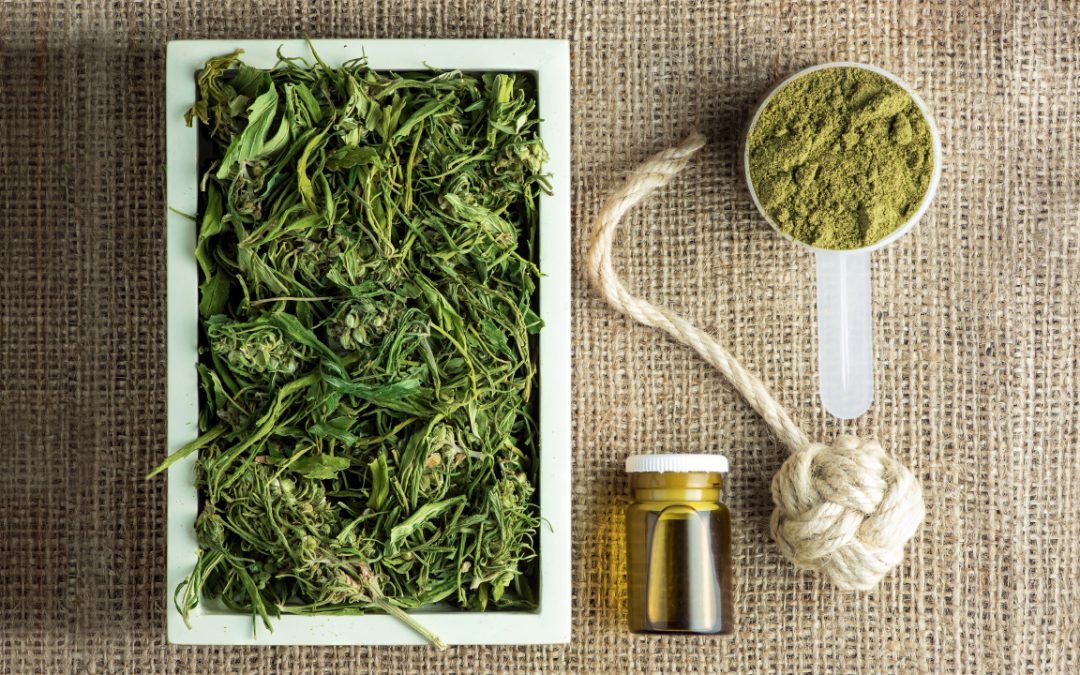 UE zwiększy limit stężenia THC w konopiach siewnych.