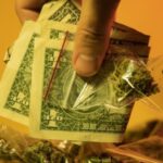 Przestępczość w USA spada dzięki legalizacji marihuany.