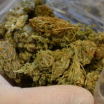 Wymachiwał marihuana w centrum wrocławia.