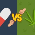 Marihuana zmniejsza liczbę zgonów spowodowanych opioidami