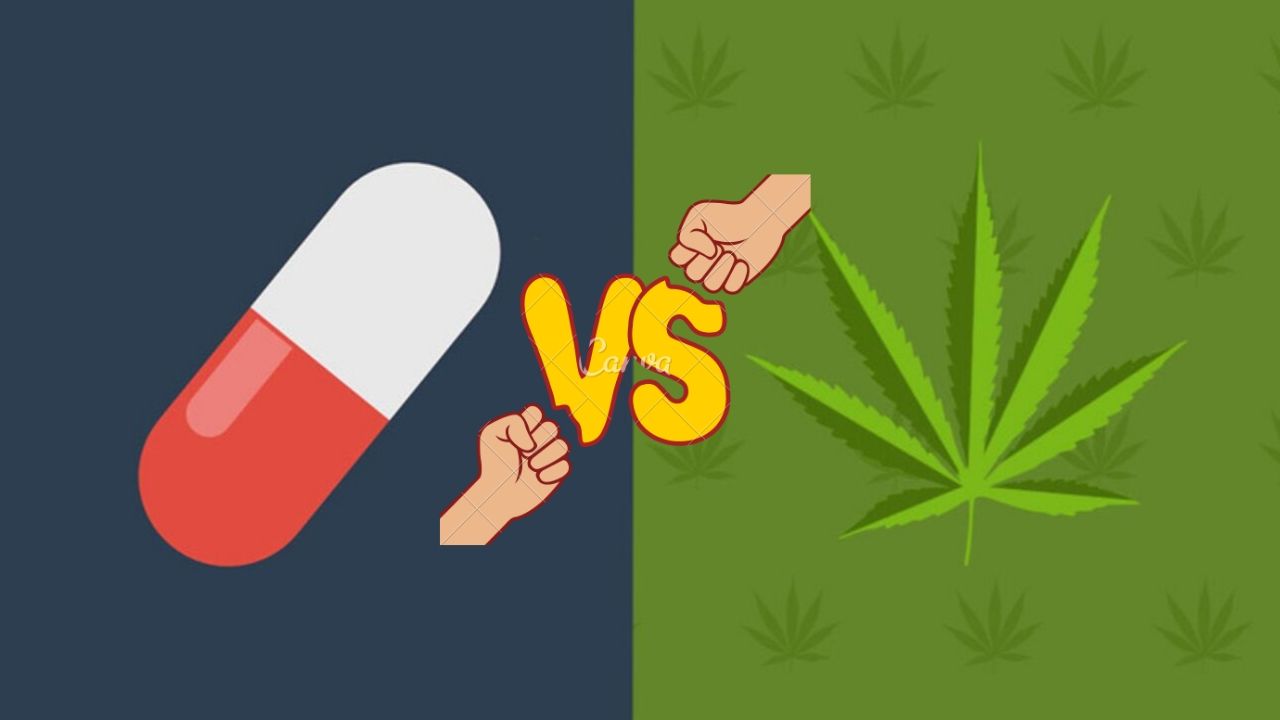 Marihuana zmniejsza liczbę zgonów spowodowanych opioidami