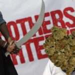 WeedWeek: kary za marihuane w arabii saudyjskiej. Mewa ratuje szweda przed więzieniem