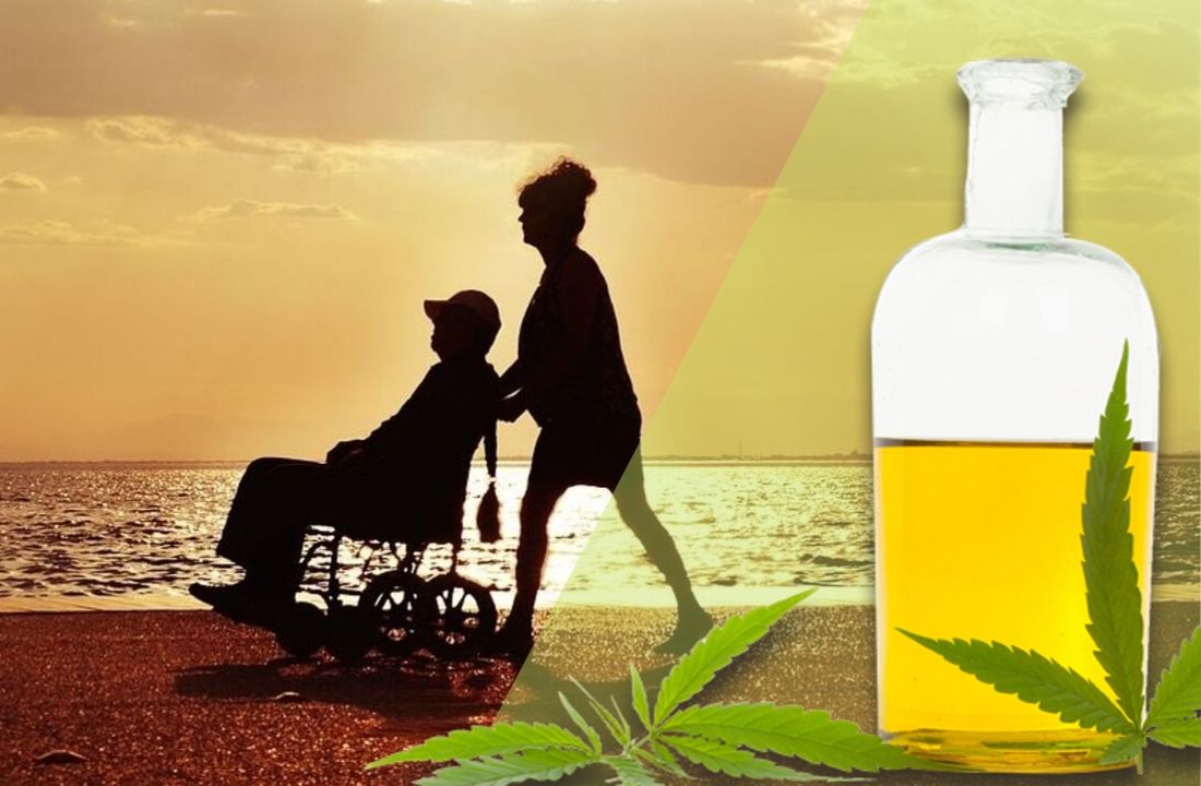 Stwardnienie rozsiane a leczenie konopiami. CBD i THC