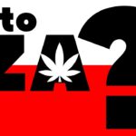 Sprawdzamy, która partia polityczna jest za legalizacją marihuany albo za zniesieniem kar za marihuanę