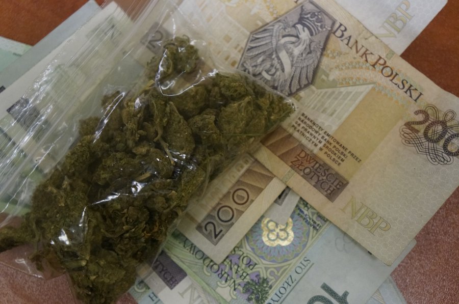 Miliardy dolarów na konopiach zarobić mogą inwestorzy i państwa, które marihuanę zalegalizują. Nowe miejsca pracy.