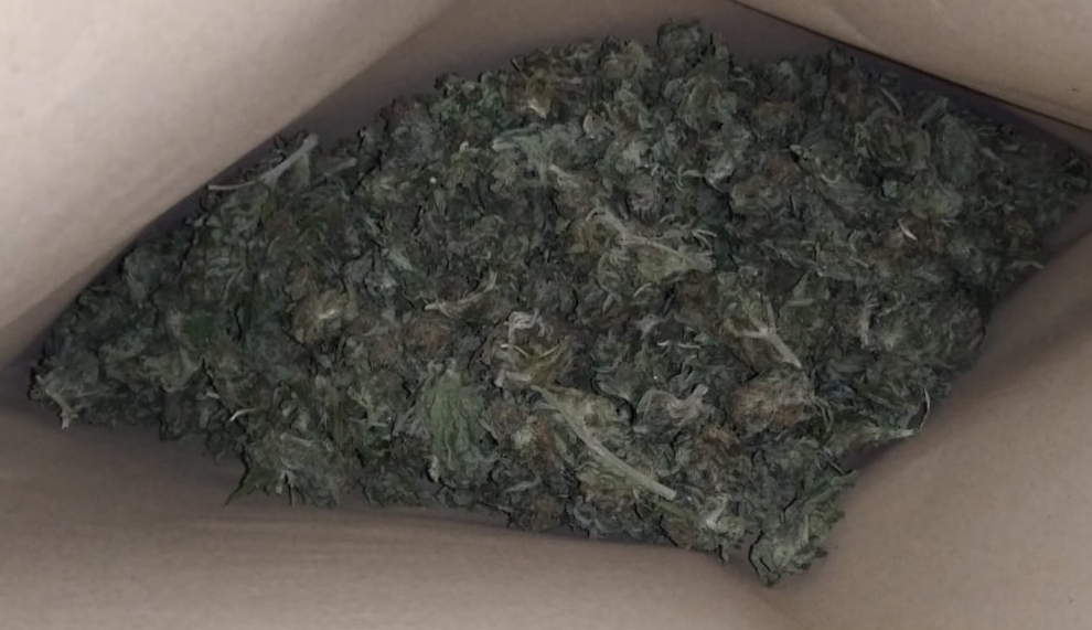 Marihuana Amfetamina Ostrów Wielkopolski