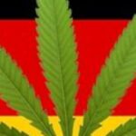Rząd Angeli Merkel poważnie dyskutuje o wprowadzeniu legalizacji marihuany