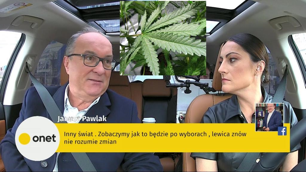 Czarzasty i Biedroń za legalizacją i wprowadzeniem akcyzy od konopi