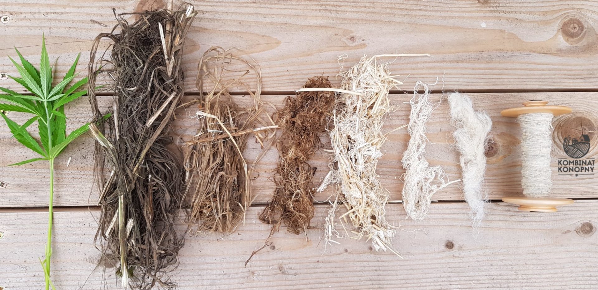 zioła na dobry nastrój