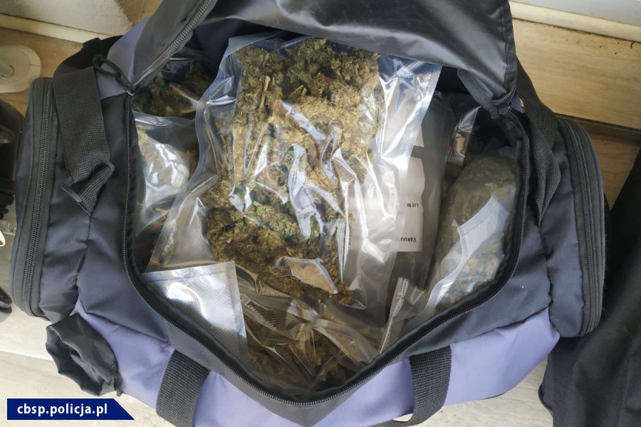 Produkowali, przemycali i dostarczali nie tylko marihuanę. Działali głównie na terenie Warszawy i w jej okolicach. Tak zwana grupa „Trapeza” została rozbita przez funkcjonariuszy centralnego Biura Śledczego Policji. Zatrzymano 22 osoby, w tym Krzysztofa B. ps. „Trapez”, który kierował organizacją.