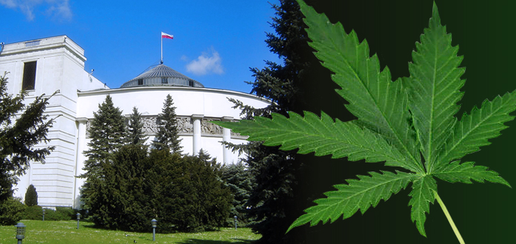 Parlamentarny Zespół ds. Legalizacji marihuany rozpoczął pracę. Zespół będzie omawiał ekonomiczne, społeczne i zdrowotne skutki legalizacji marihuany.